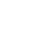 icone phone white