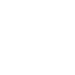icone whatsapp white